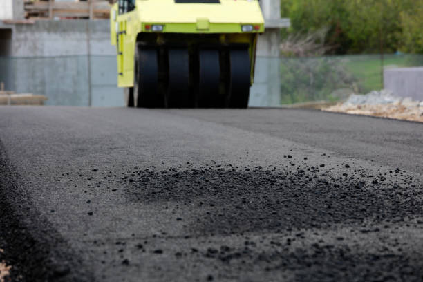 Best Residential Paver Driveway  in Round Lake, IL